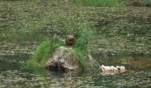 ŁOWIECTWO