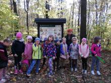 Z przedszkolakami w lesie