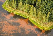 Leśnicy inwestują miliony w walkę z suszą