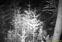 Ruszyła akcja "Stroisz 25"